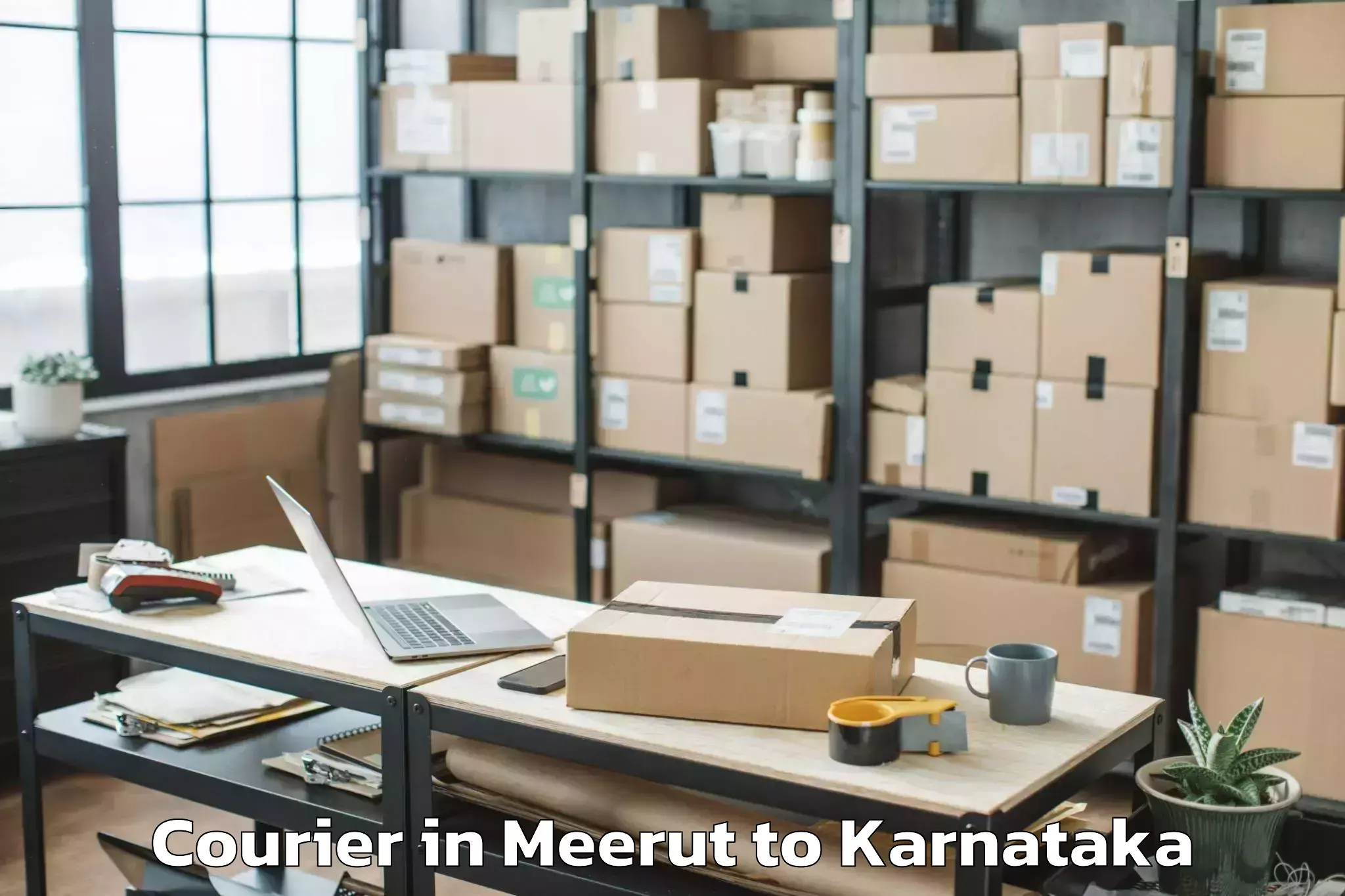 Leading Meerut to Huliyar Courier Provider